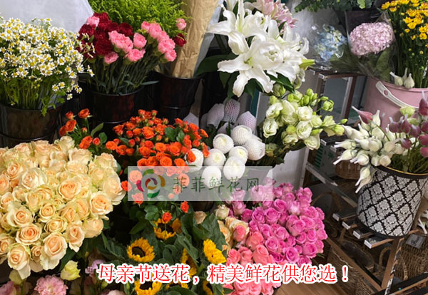 2024林芝巴宜区母亲节送花,林芝巴宜区精美鲜花供您选!